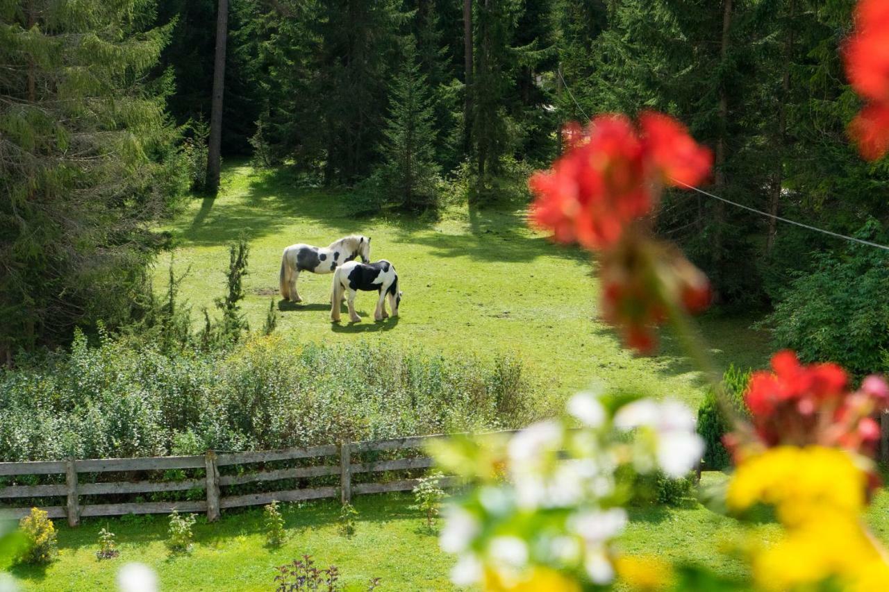 Tannenblick Appartement