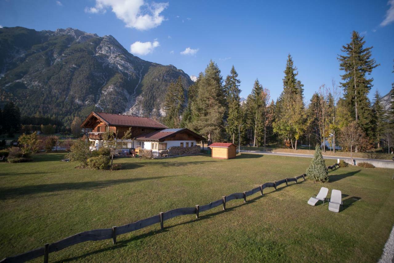 Tannenblick Apartment